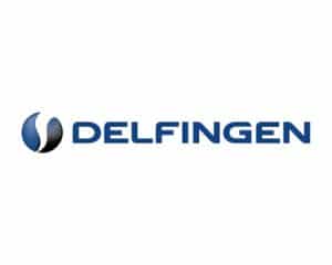 Delfingen Logo Delfingen
